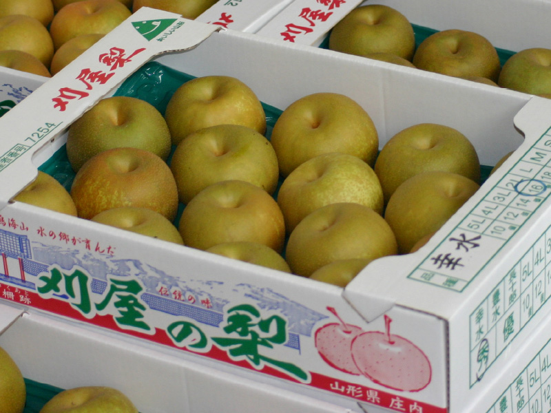 櫛引産の梨
