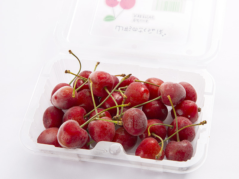 さくらんぼ 佐藤錦 誕生秘話 山形のさくらんぼ通販なら 佐藤錦 オンラインショップ