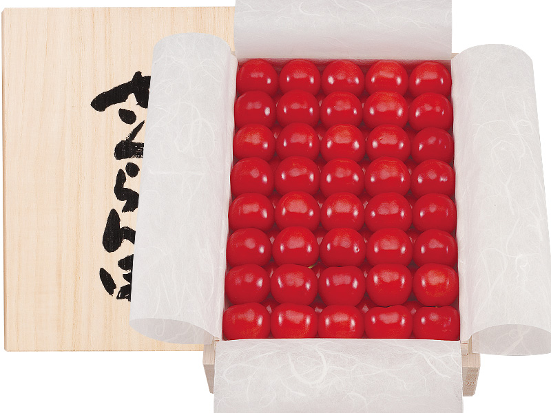 「佐藤錦 山辺産」桐箱入