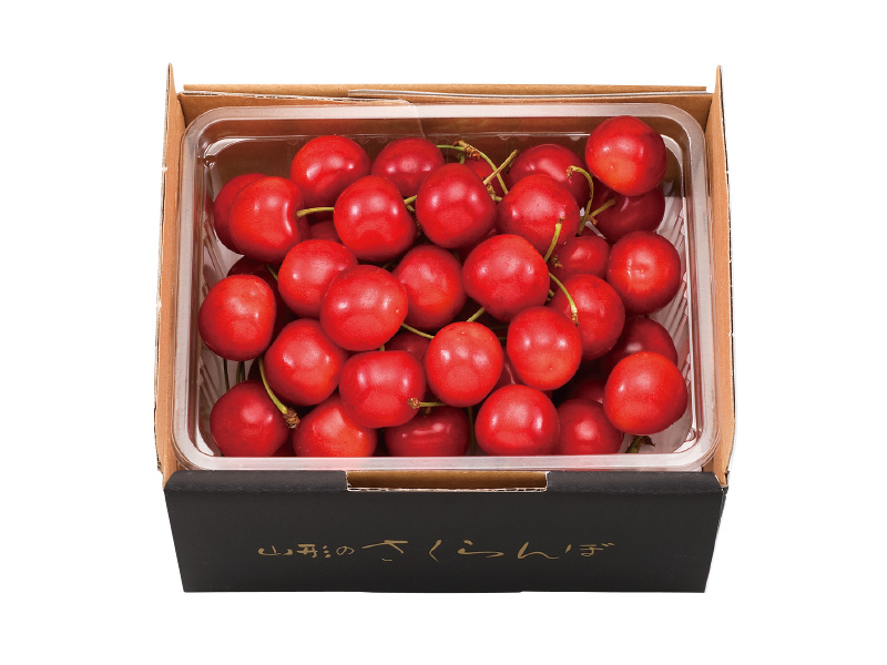 注目ブランド さくらんぼ ❋紅てまり 昨日収穫分 3Lサイズ 1kg