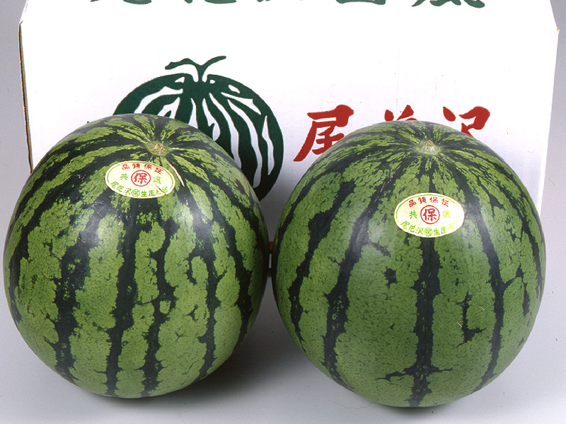 尾花沢すいか