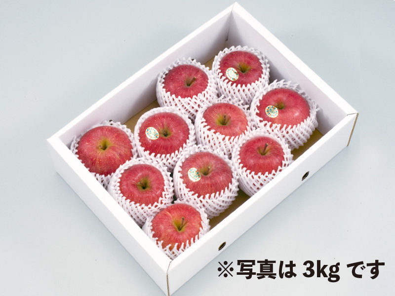 秀品山形サンふじりんご約5kg16〜18玉（家庭用）