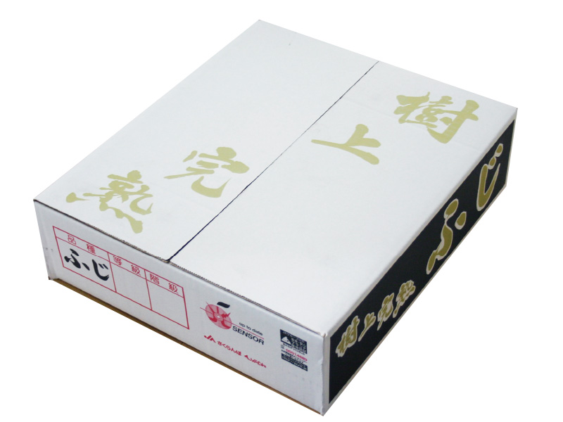 東根産 特秀樹上完熟ふじ約5kg16〜18玉